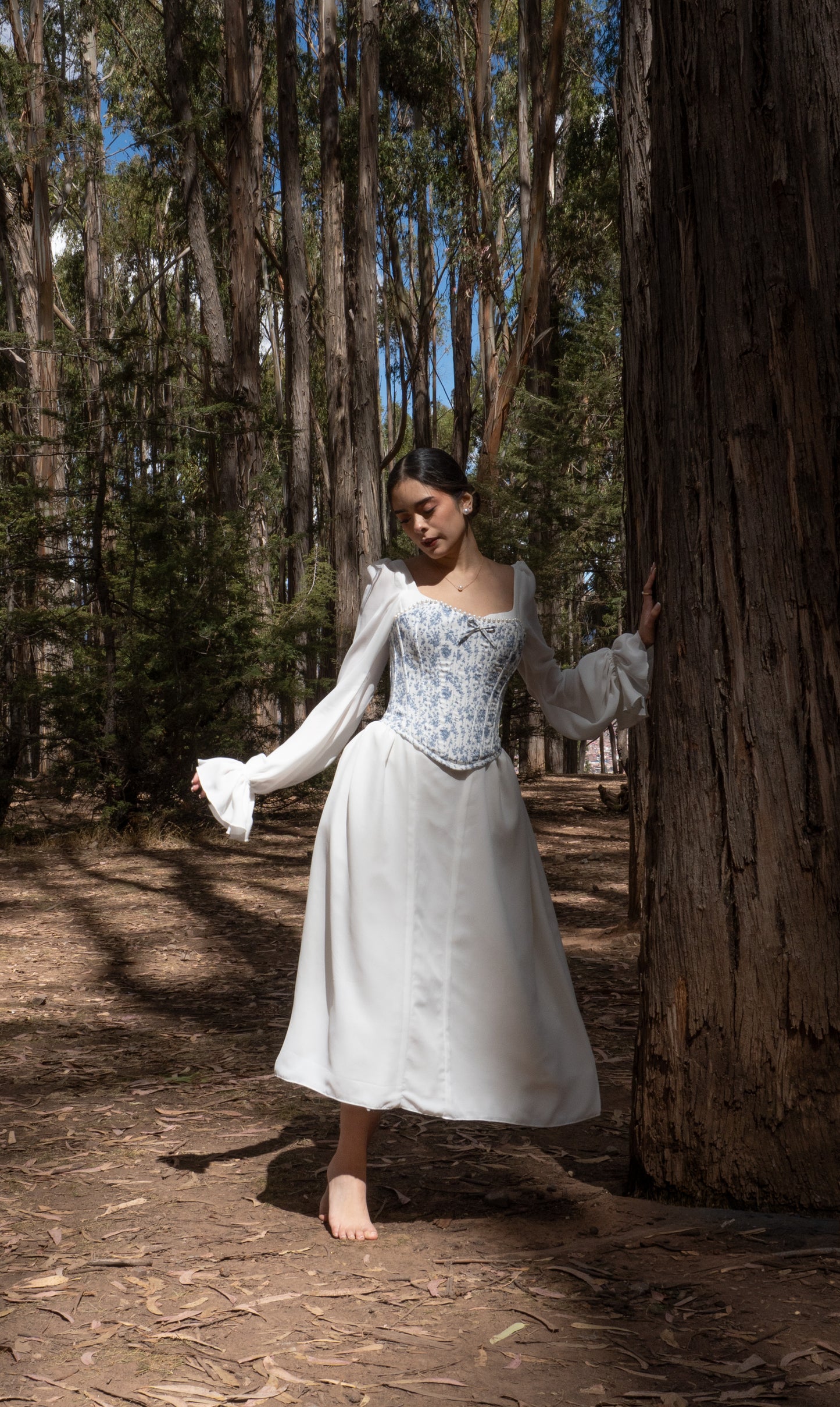 Serenite Corset
