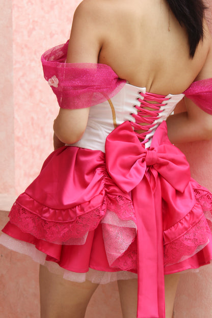 Barbie y las 12 Princesas Bailarinas